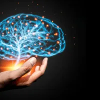 Scientists discover a hidden force that helps wire the brain