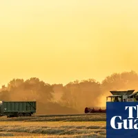 UK must stockpile food in readiness for climate shocks or war, expert warns