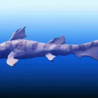 Top predators still prowled the seas after the biggest mass extinction