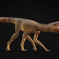 This crocodile ran like a greyhound across prehistoric Britain 200 million years ago