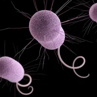 STAT+: Large drugmakers are developing fewer antibiotics, analysis finds