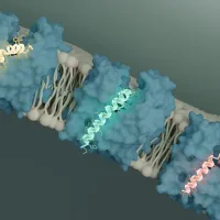 Scientists discover a bacterial kill switch and it could change the fight against superbugs