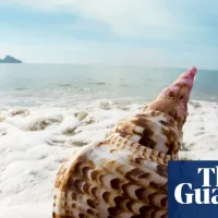 Strange Beach by Oluwaseun Olayiwola audiobook review – a debut that dances with passion