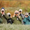 Birdwatching may reshape the brain and build its buffer against ageing