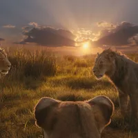 Translation of what the opening lyrics to ‘The Lion King’ theme actually means goes viral