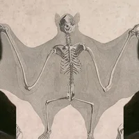 Lit Hub Daily: March 4, 2026