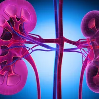STAT+: Vertex says its drug successfully reduced marker of kidney disease in late-stage trial