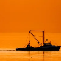 Fishing crews in the Atlantic keep accidentally dredging up chemical weapons